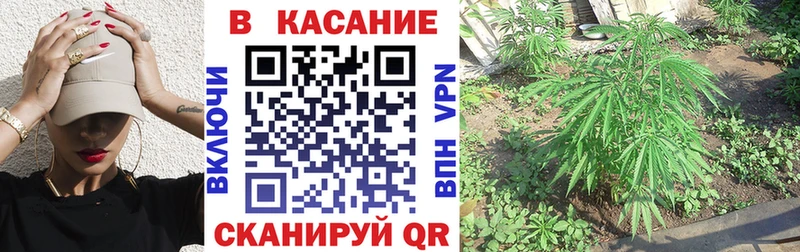 Как найти наркотики Енисейск Галлюциногенные грибы  A PVP  Мефедрон  Амфетамин  COCAIN  Каннабис 
