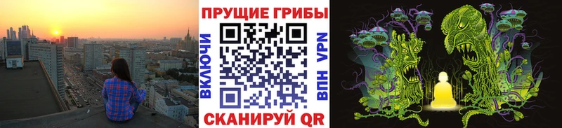 хочу   Енисейск  Галлюциногенные грибы ЛСД 